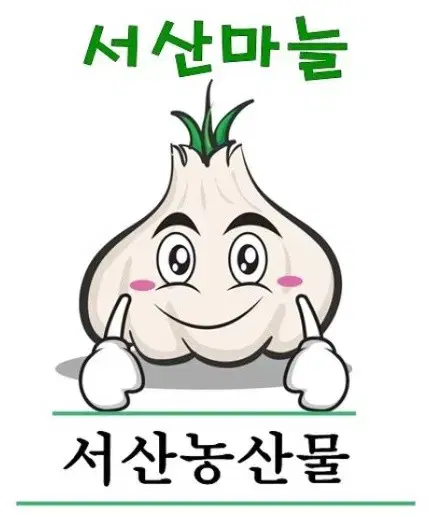 24년 서산 햇마늘 [농민직거래] 서산마늘 산지직송 ] 밭마늘/난지형/